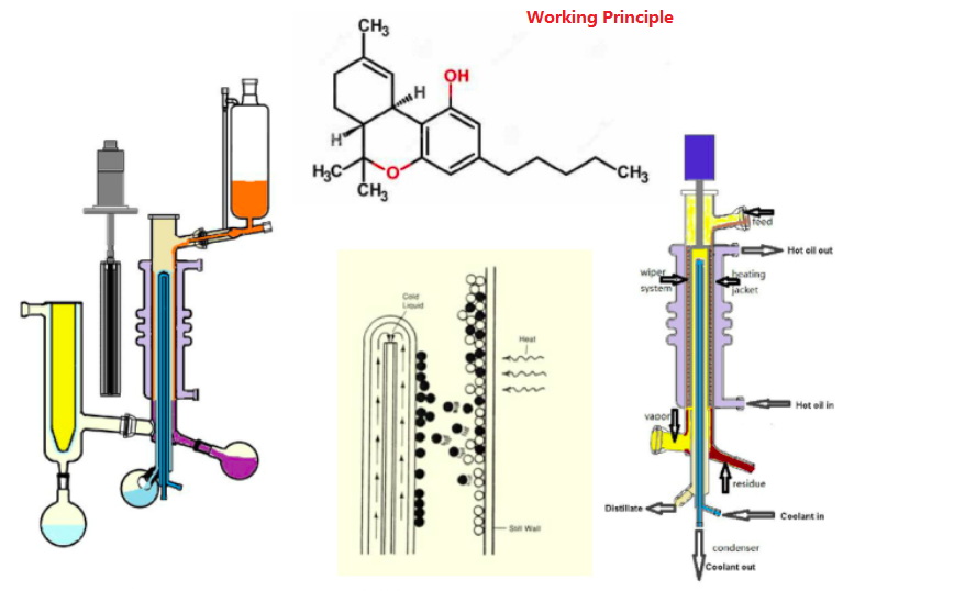 AYAN-F80分子蒸馏仪(图1)